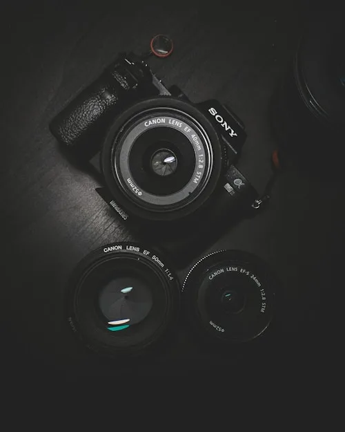 Photography Blog - c7娱乐